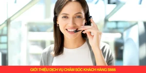 Giới thiệu dịch vụ chăm sóc khách hàng S666