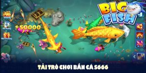 Các lưu ý về tải trò chơi bắn cá không nên bỏ qua